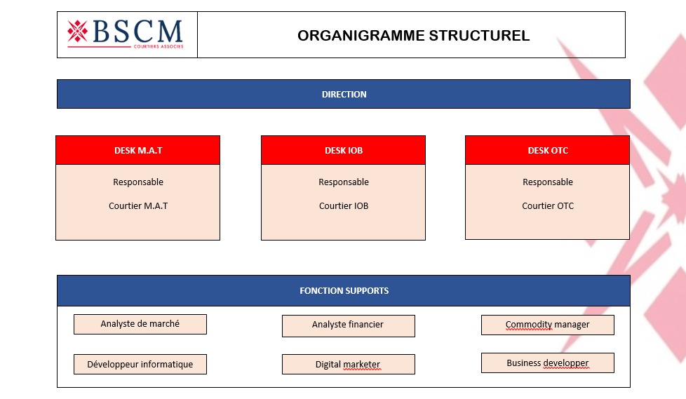 Organigramme BSCM